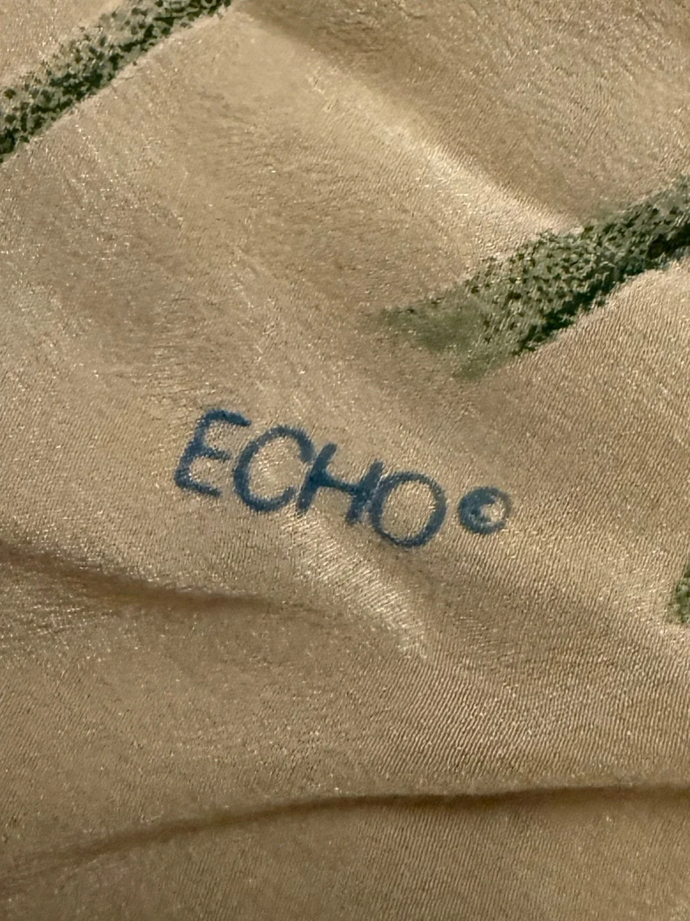 Echo Floral Cream Silk-Feel Scarf with Blue Trim